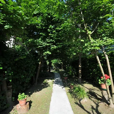 Angela Apartman *
